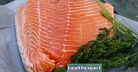 Kitchen - 6 great reasons why salmon should become an integral part of your diet