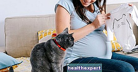 Foreldre - Toxoplasmose under graviditet: symptomer og årsaker til infeksjon og hvordan du forhindrer risikoen for fosteret