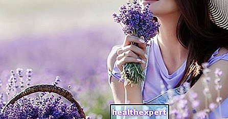 Aromatherapy: the incredible properties of essential oils for your well-being