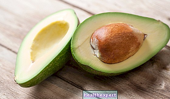 Avocado: properties, calories and benefits of a special plant - In Shape