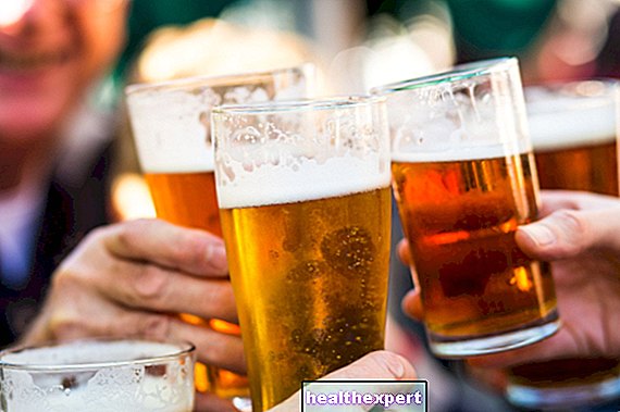 Does beer make you fat? Here's the whole truth from science