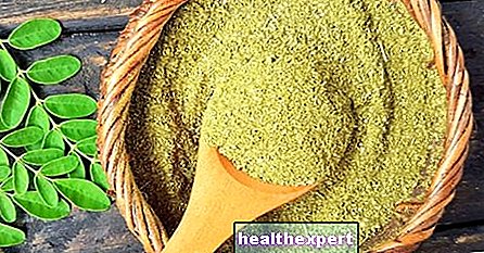 Moringa oleifera: властивості та переваги цього суперпродукту!
